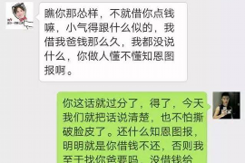 隆林专业讨债公司有哪些核心服务？