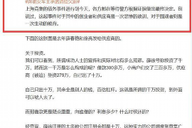 隆林遇到恶意拖欠？专业追讨公司帮您解决烦恼